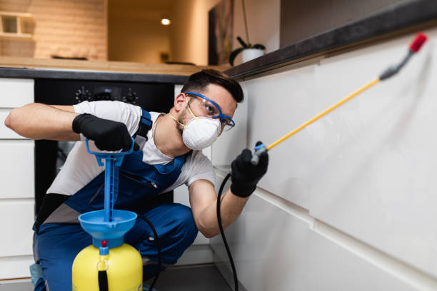 Best Pest Control Near Me  in North Kensington, MD