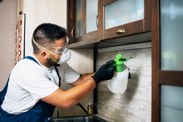 Best Bed Bug Extermination  in North Kensington, MD