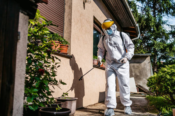 Best Pest Prevention Services  in North Kensington, MD