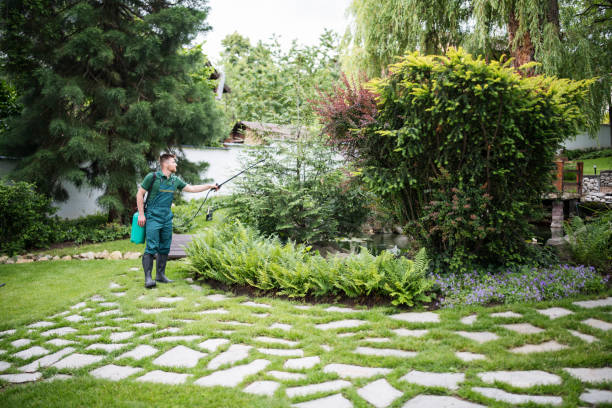 Best Mosquito Control Services  in North Kensington, MD