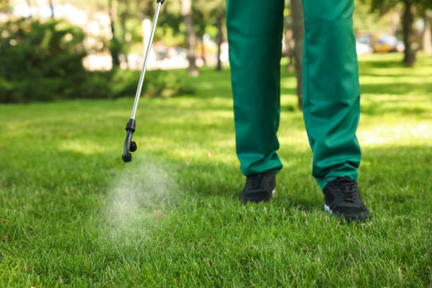 Best Residential Pest Control  in North Kensington, MD