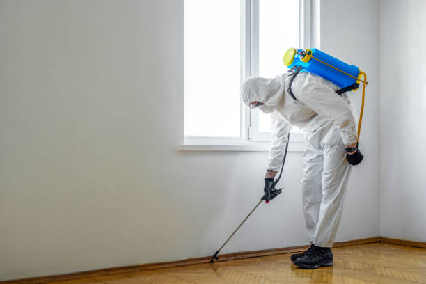 Best Flea Control Services  in North Kensington, MD