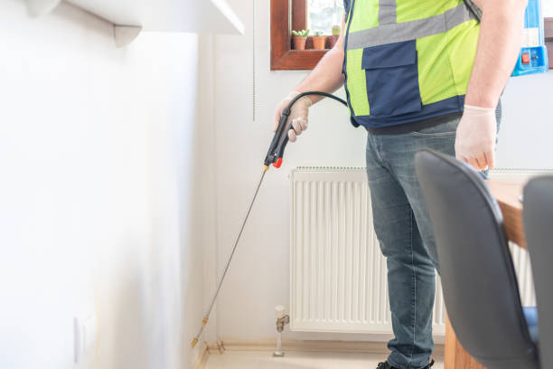 Best Wasp Removal Services  in North Kensington, MD
