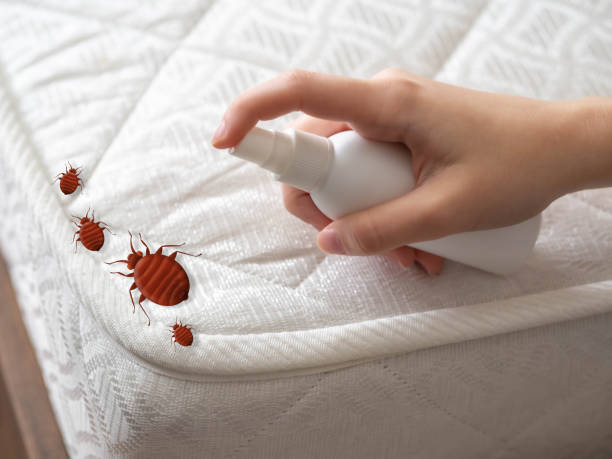 Best Best Pest Control Companies  in North Kensington, MD