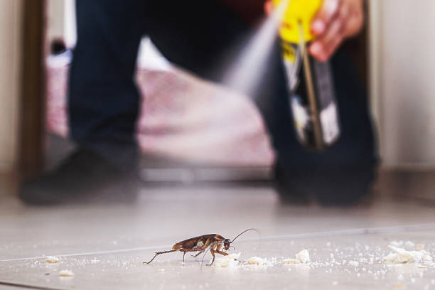 Best Emergency Pest Control  in North Kensington, MD